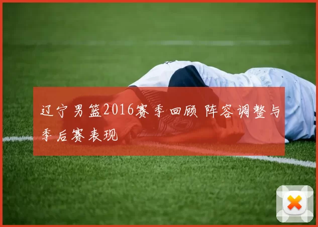 辽宁男篮2016赛季回顾 阵容调整与季后赛表现