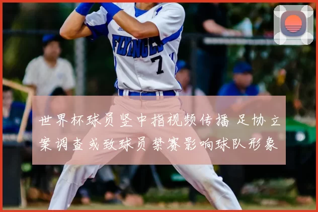 世界杯球员竖中指视频传播 足协立案调查或致球员禁赛影响球队形象