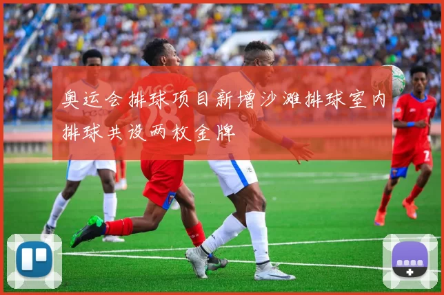 奥运会排球项目新增沙滩排球室内排球共设两枚金牌