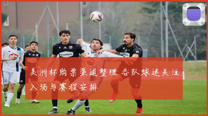 美洲杯购票渠道整理 各队球迷关注入场与赛程安排