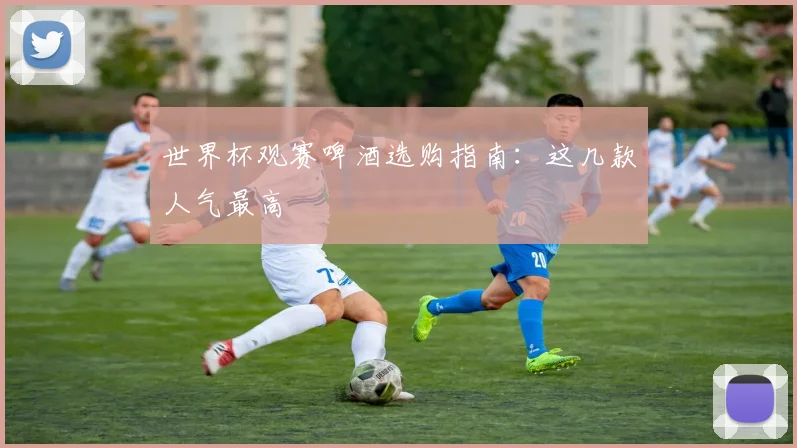 世界杯观赛啤酒选购指南:这几款人气最高